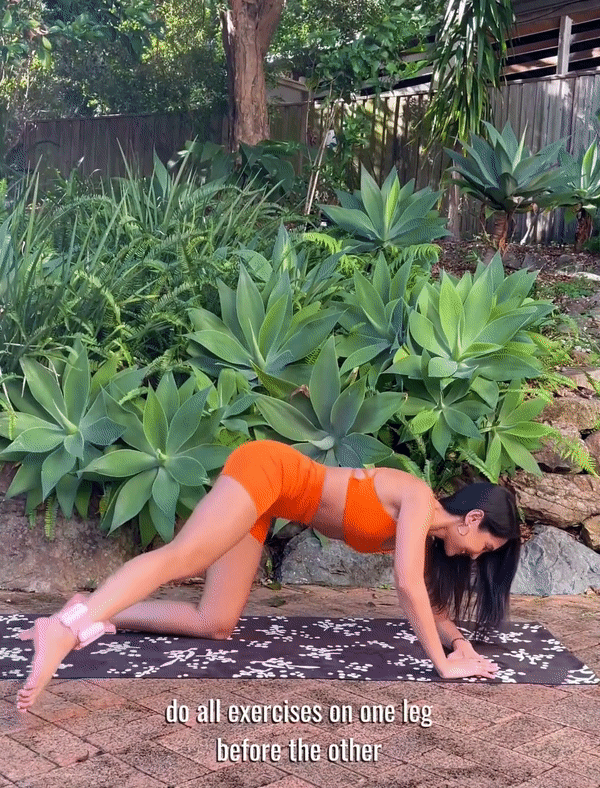 hips and love handles workout