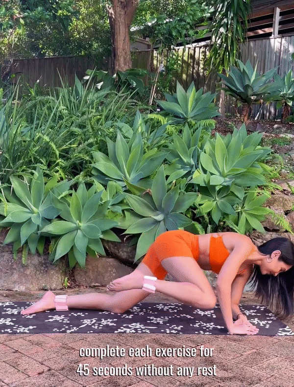 love handles and hips workout