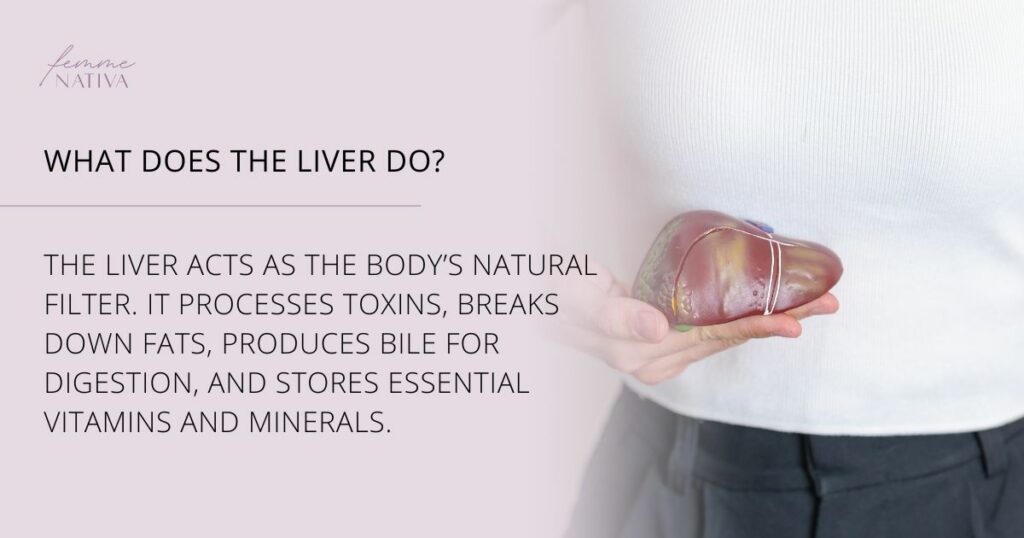what does the liver do