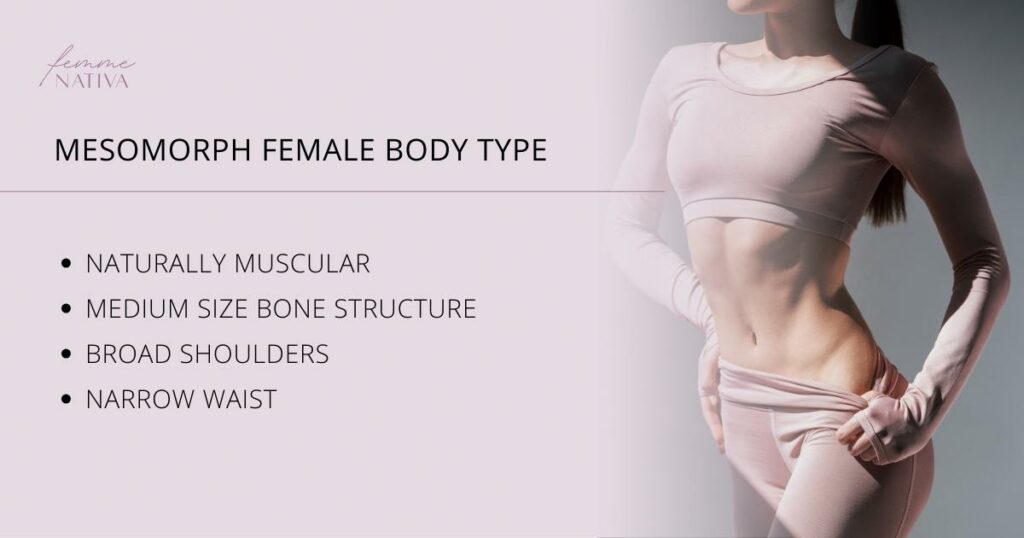 mesomorph female body type characteristics