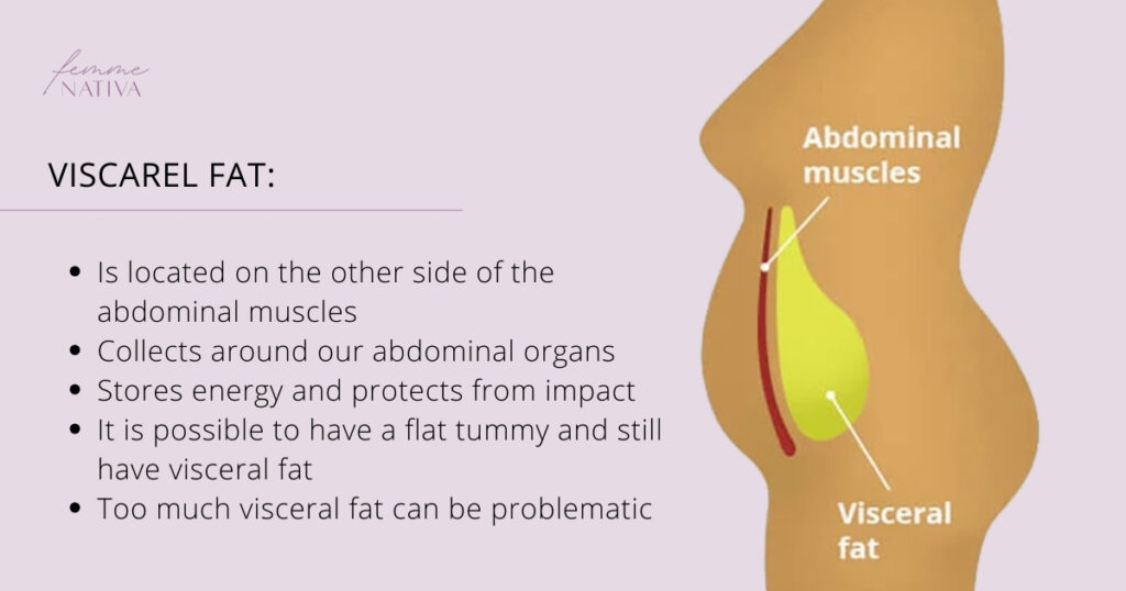 what is visceral fat