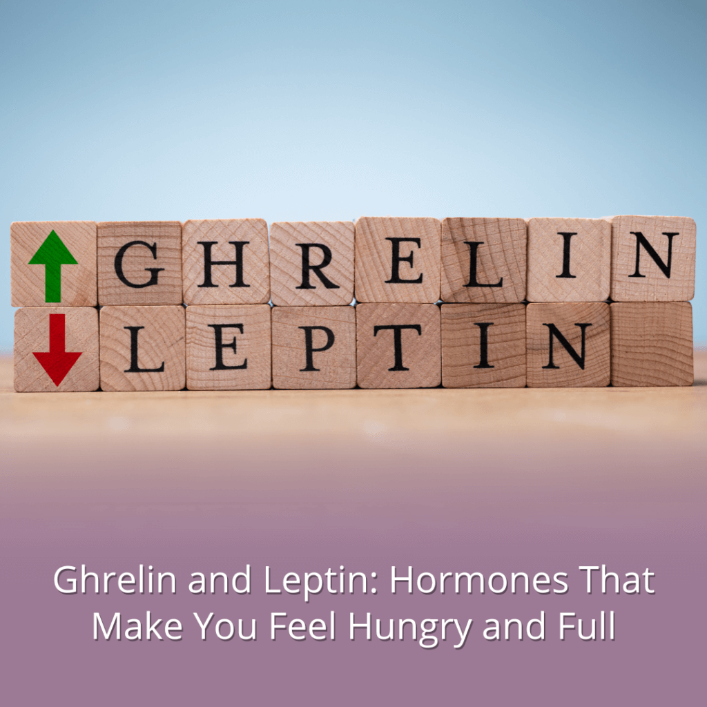 Ghrelin and Leptin: Hormones That Make You Feel Hungry and Full